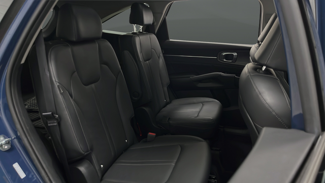 Used 2024 Black Kia X-Line SX image 25