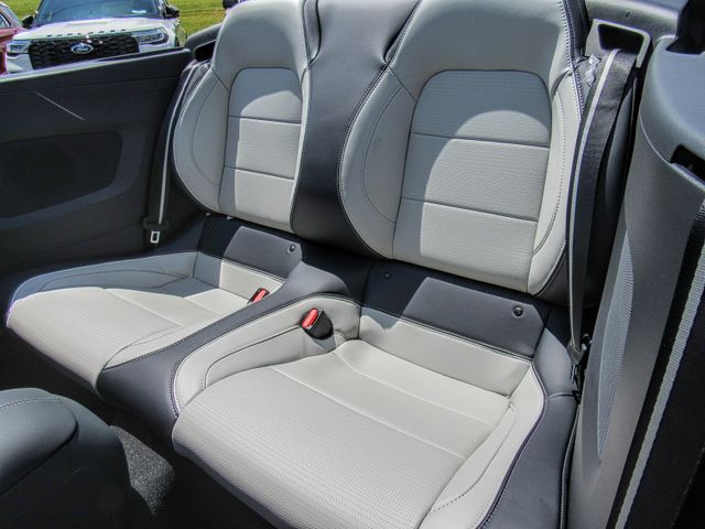 Photo of 2025 Ford Mustang EcoBoost Premium in Dallas, GA - 10,  2025 Ford Mustang EcoBoost Premium:167336