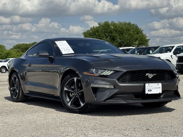 Gray (Magnetic Metallic) 2019 Ford Mustang EcoBoost Coupe RWD Coupe Rear-Wheel Drive Automatic