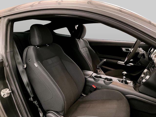 2019 Ford Mustang GT Gray at Grove City Ford