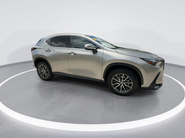 2025 Lexus NX - $45,998