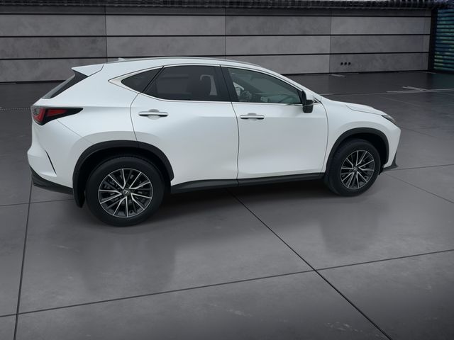 2025 Lexus NX - $41,988