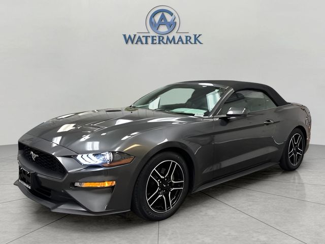 2019 Ford Mustang EcoBoost Premium Convertible RWD