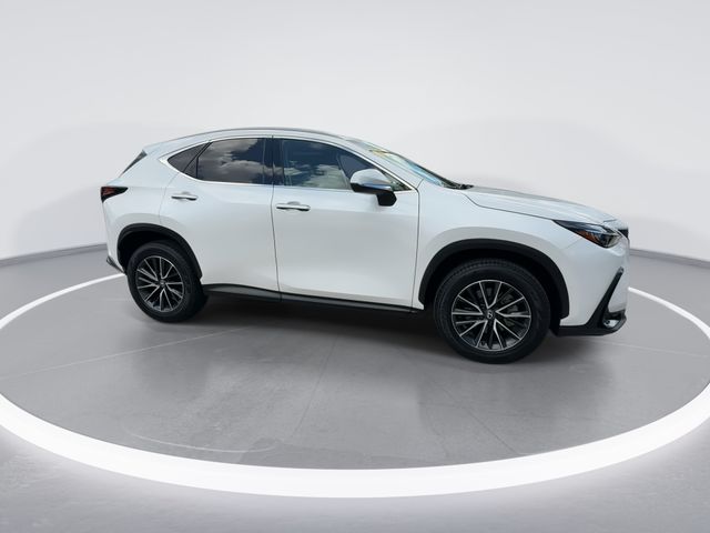 2025 Lexus NX - $37,498