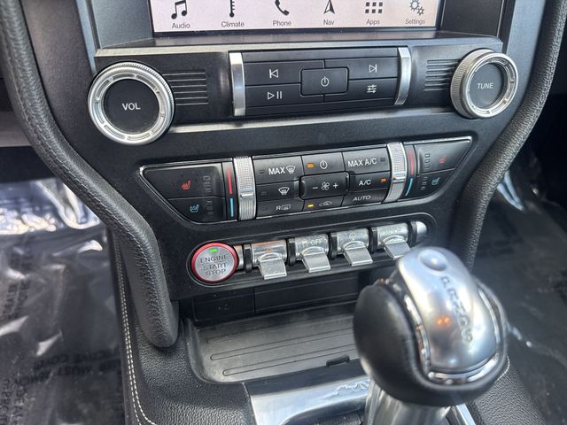 Used 2019 Blue Ford EcoBoost Premium image 23