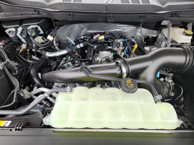 2025 Ford F-150 STX photo