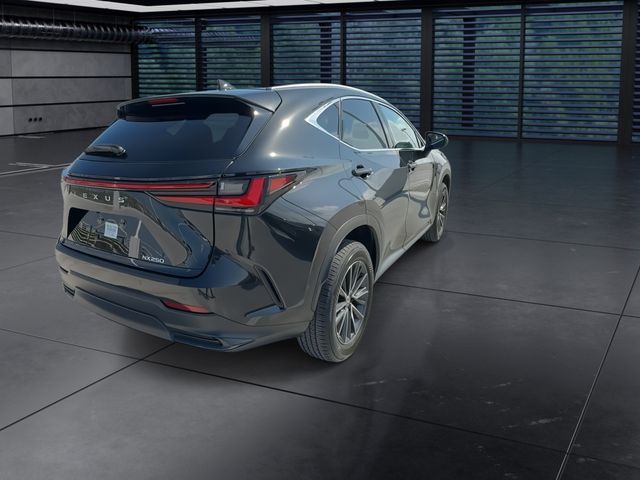 2024 Lexus NX - $39,998