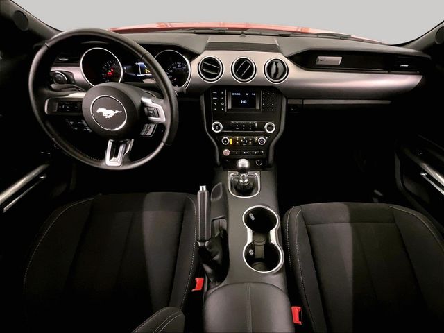 2019 Ford Mustang GT Red at Grove City Ford