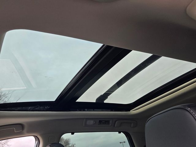 New 2026 Green Nissan Platinum image 19