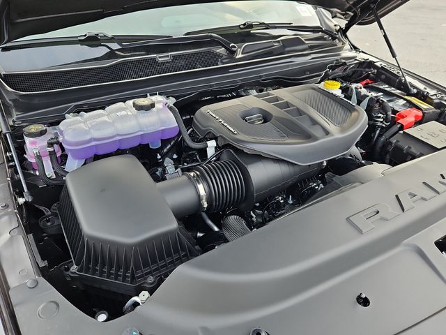 New 2026 Gray Ram Longhorn image 26