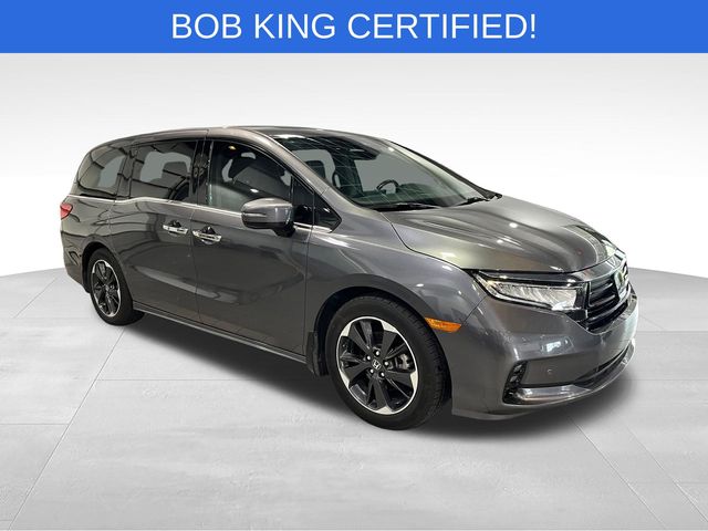 2024 Honda Odyssey Elite Gray at Stokes Honda North