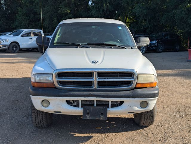 2004 White Dodge Dakota Sport 4X4 Truck