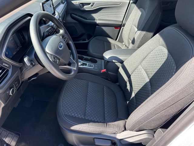 New 2026 White Ford Active image 17