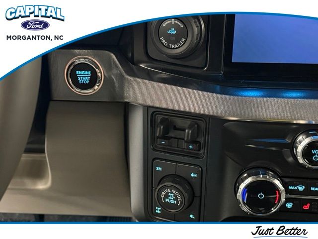 New 2026 White Ford Platinum image 13