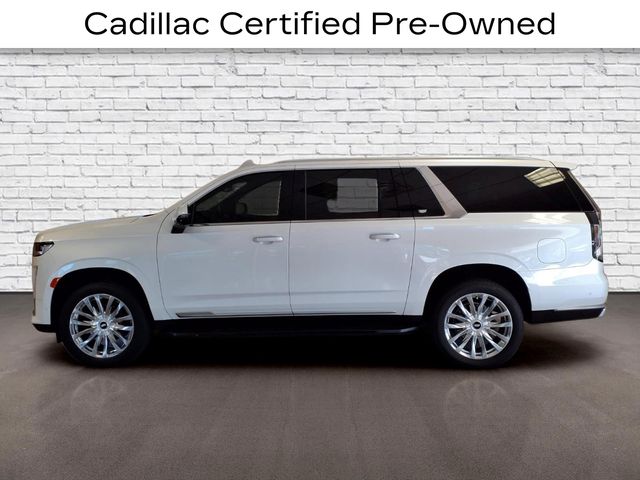 Crystal White Tricoat 2024 Cadillac Escalade ESV SUV / Crossover Rear-Wheel Drive Automatic