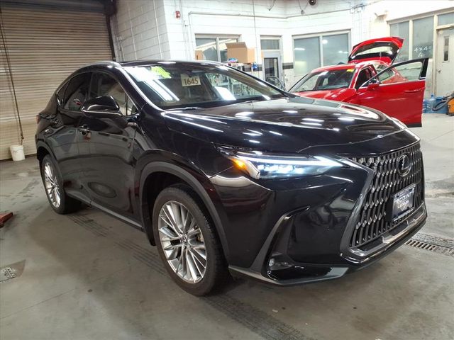 2024 Lexus NX 350 Luxury AWD
