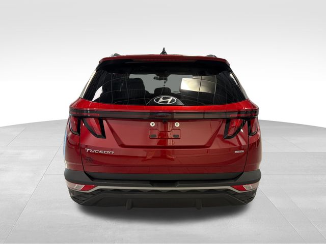 2024 Hyundai Tucson SEL Red at Stokes Mazda