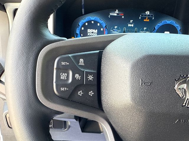 New 2025 White Ford Stroppe image 30