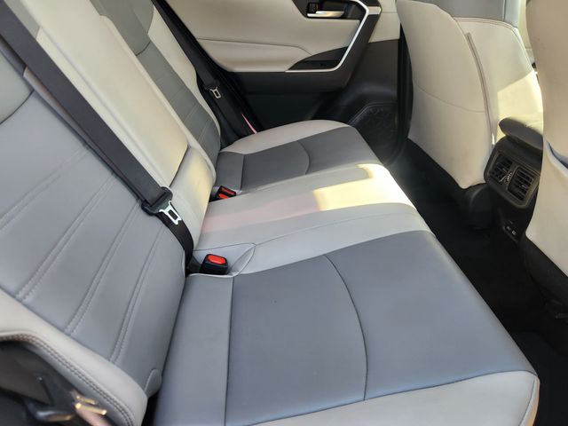 2024 Toyota RAV4 XLE Premium  at Toyota of Victoria