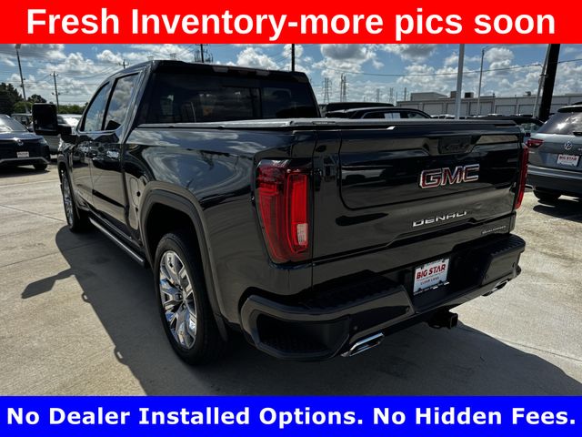 2025 GMC Sierra 1500 Denali - 4