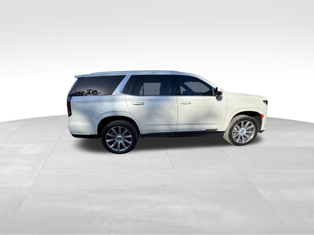 2021 Cadillac Escalade Premium Luxury Platinum 11