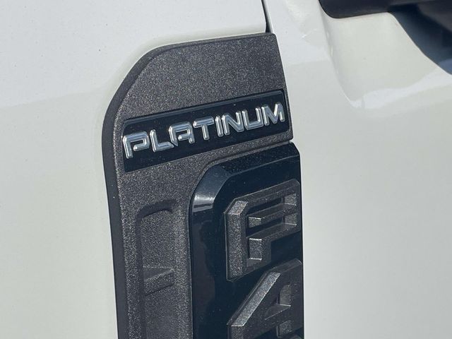 2025 Avalanche Ford Super Duty F-450 DRW Platinum 4X4 Truck