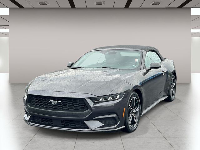 Used 2024 Gray Ford EcoBoost Premium image 8