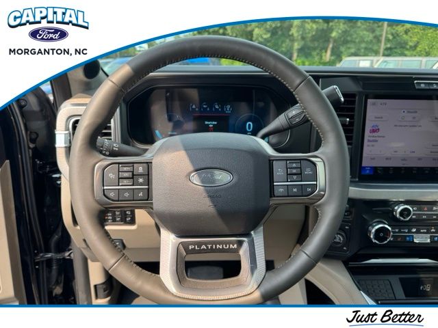 New 2026 Black Ford Platinum image 17