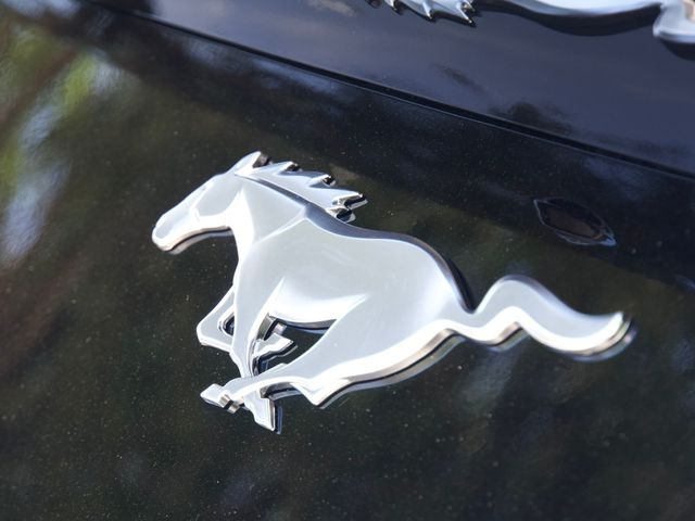 New 2026 Ford Mustang Coupe