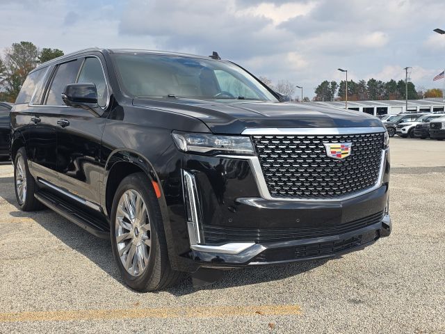 2024 Cadillac Escalade ESV Premium:C02484