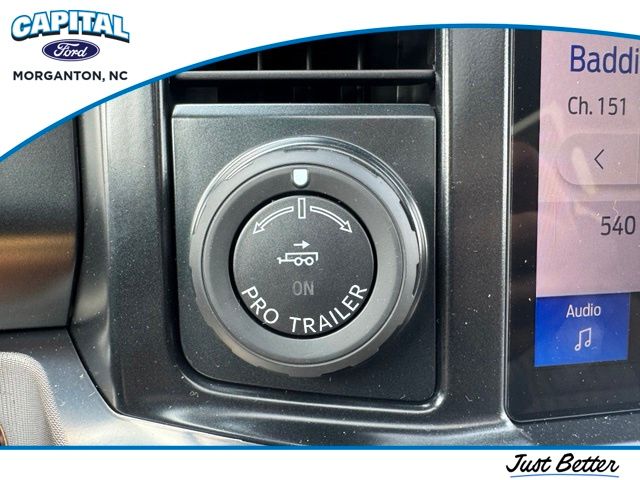 New 2026 Black Ford Platinum image 29