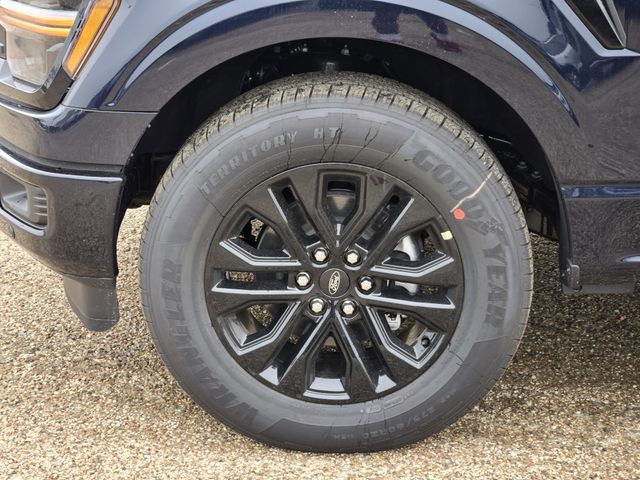2025 Blue Ford F-150 XLT RWD Truck