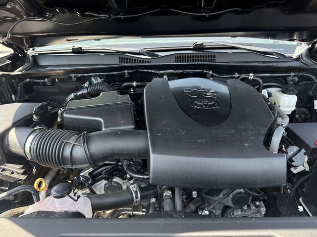 Used 2023 Toyota Tacoma Truck