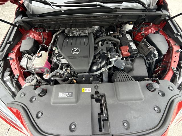 Used 2024 Lexus NX SUV
