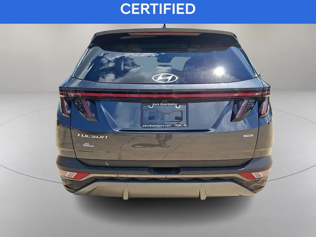 Used 2023 Hyundai Tucson SUV