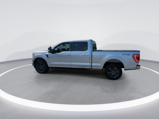 Used 2023 Silver Ford XLT image 5