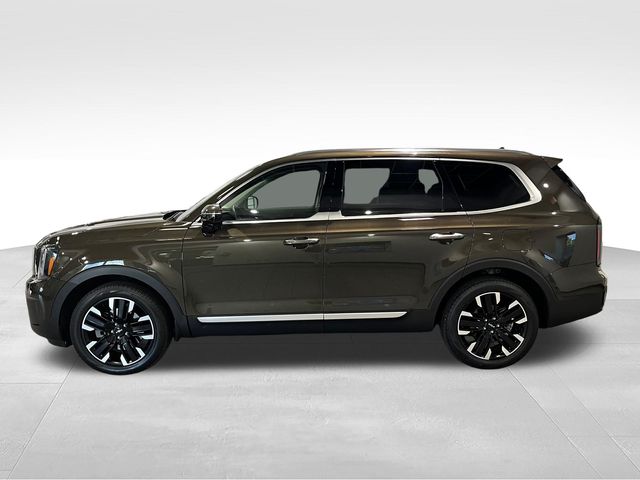 2024 Kia Telluride SX Green at Matthews Motors of Wilmington