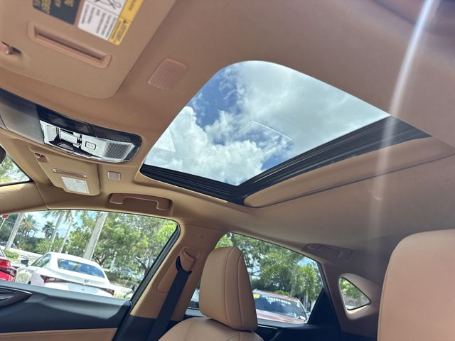 2025 Lexus NX - $45,998