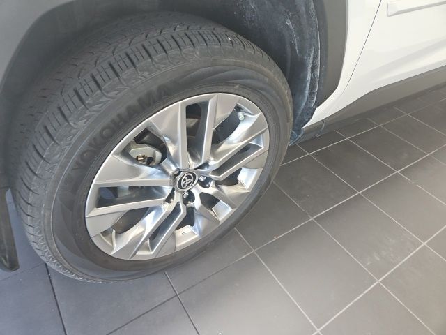 2025 Toyota RAV4 Limited Beige at Don McGill Toyota