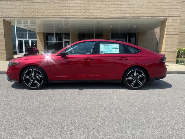 2026 Honda Accord Sedan photo 1