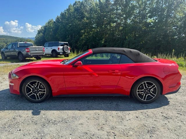 Used 2022 Red Ford EcoBoost Premium image 4