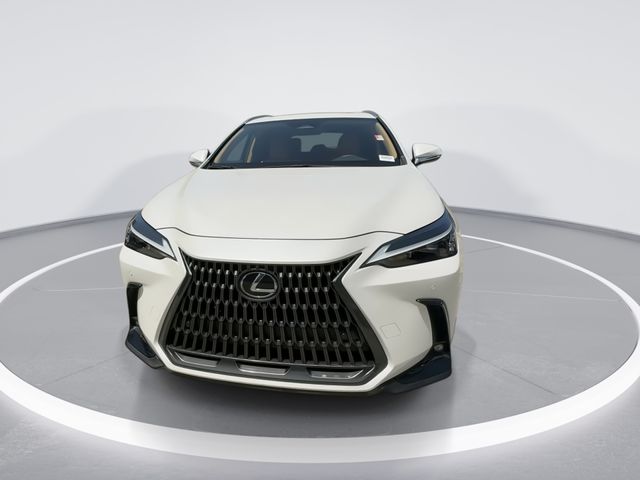 2024 Lexus NX 350h - $42,998