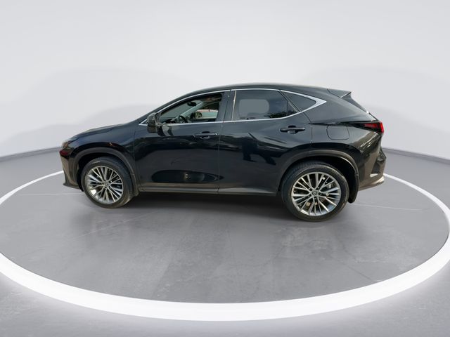 Used 2023 Lexus NX SUV