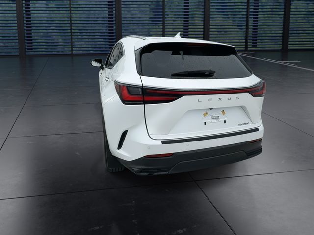 2025 Lexus NX - $41,988