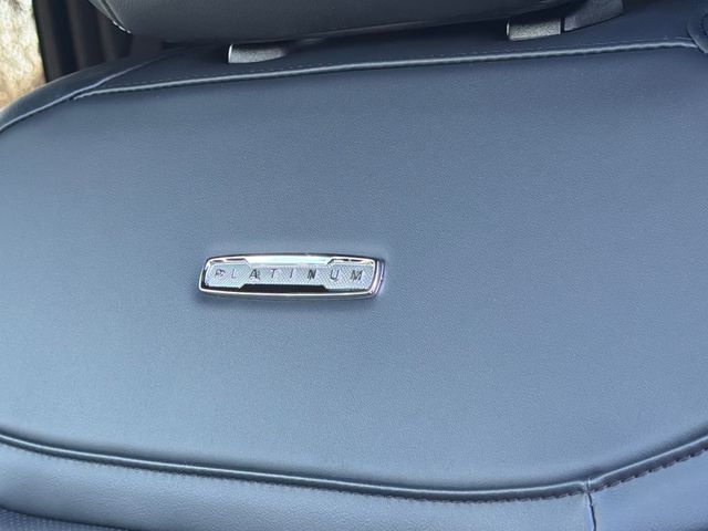 New 2026 White Ford Platinum image 20