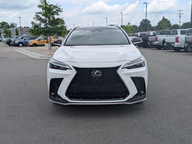 2024 Lexus NX - Image 8