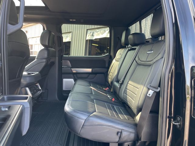 2026 Ford F-250SD Platinum - Agate Black Metallic exterior view 12
