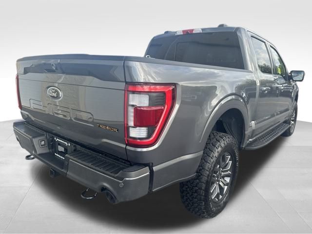 2023 Ford F-150 Tremor 13