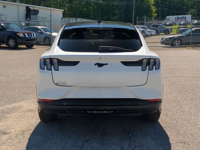 Used 2023 White Ford Premium image 12