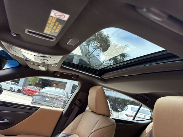 2019 Lexus ES - $23,898
